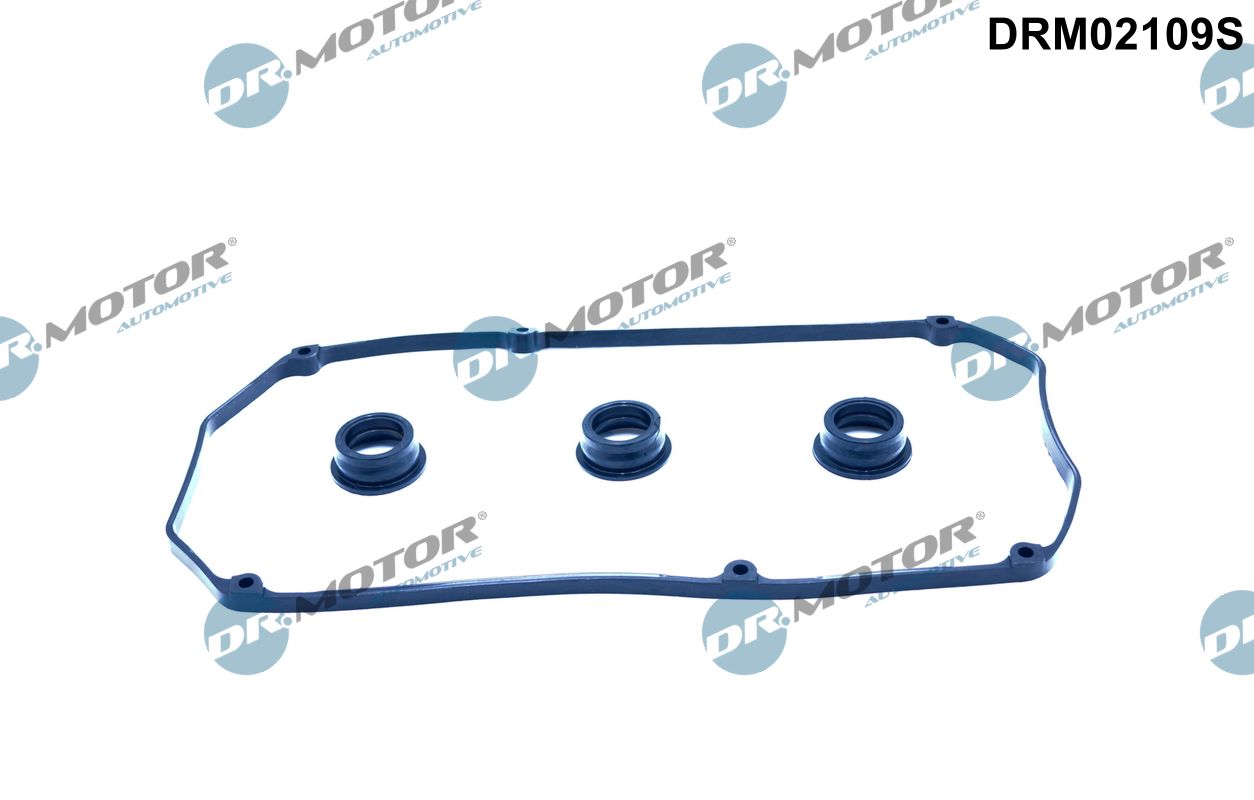 Gasket Set, cylinder head cover (DRM02109S)
