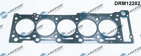 Gasket, cylinder head (DRM12202)