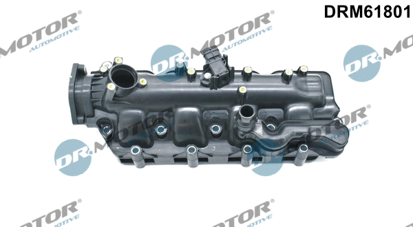 Intake Manifold Module (DRM61801)
