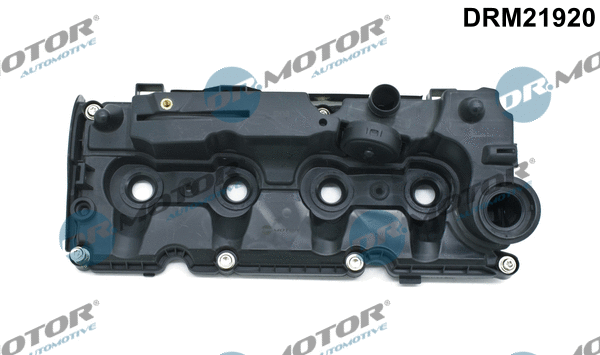 Cylinder Head Cover (DRM21920)