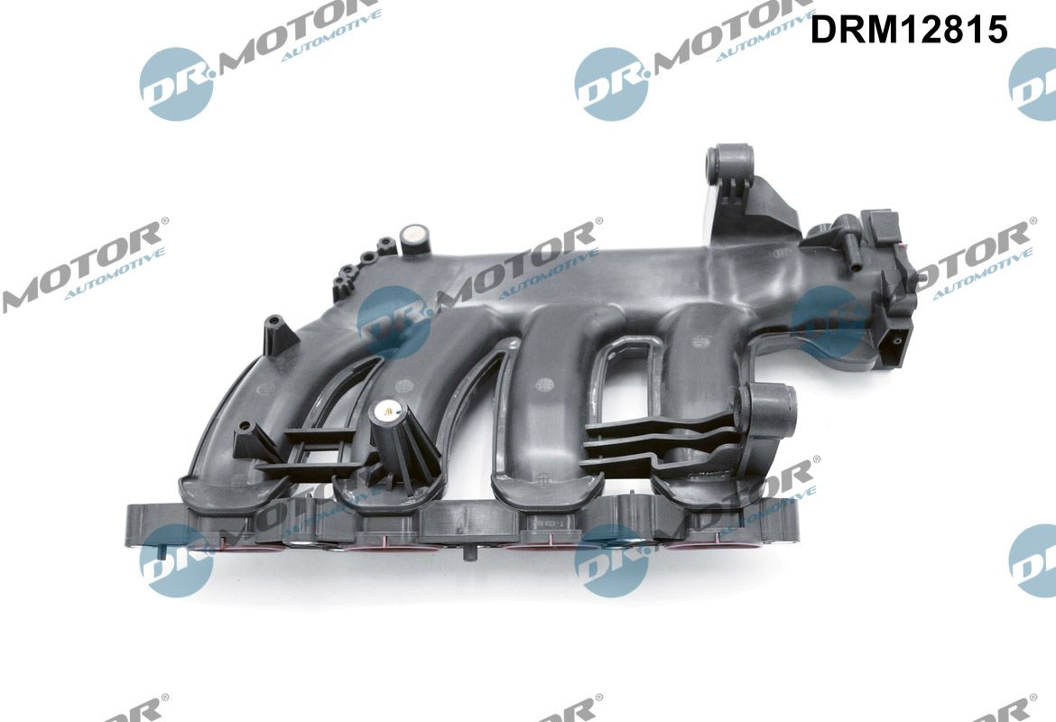 Intake Manifold Module