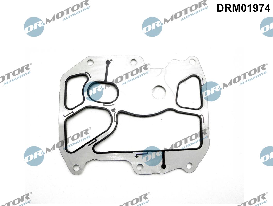 Gasket, oil cooler (DRM01974)