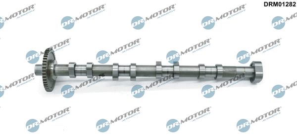 Camshaft (DRM01282)