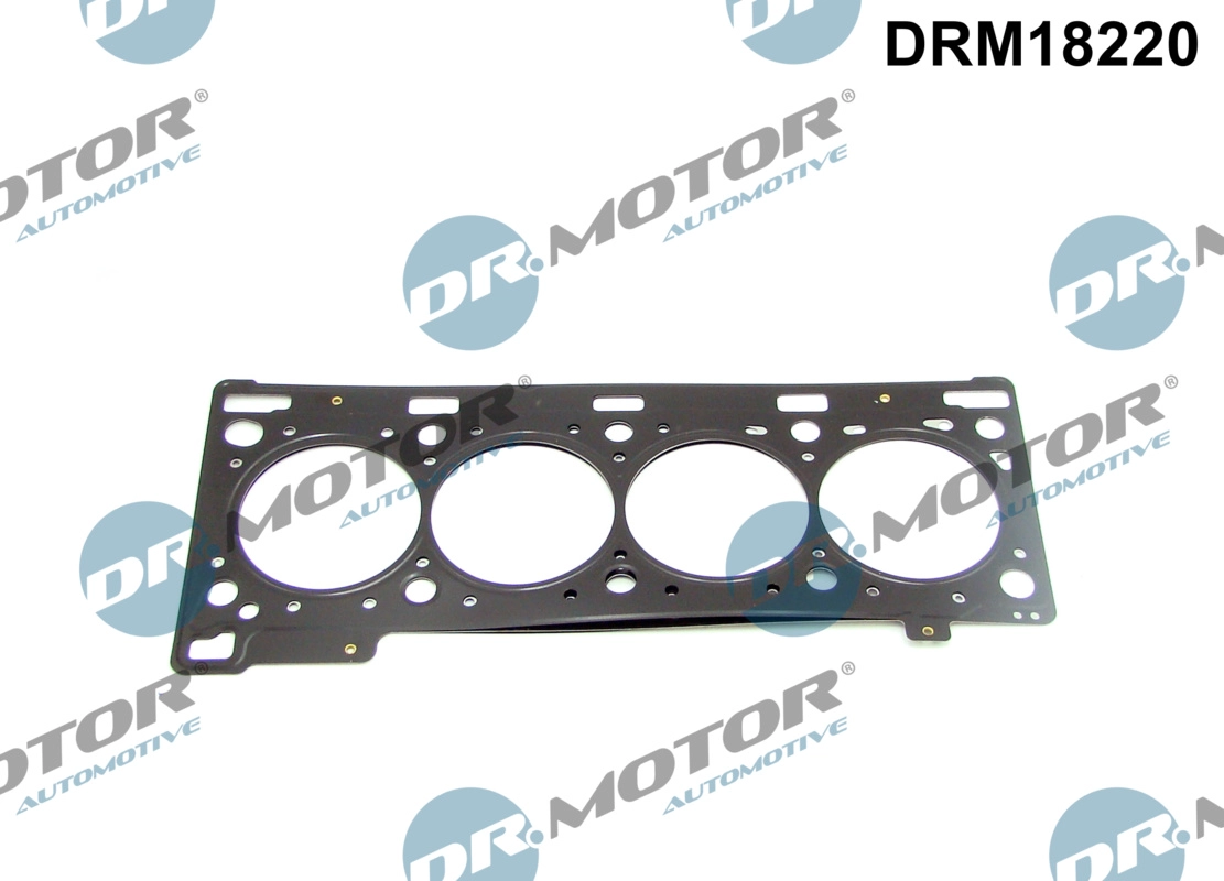 Gasket, cylinder head (DRM18220)