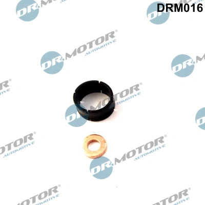 Seal Kit, injector nozzle (DRM016)