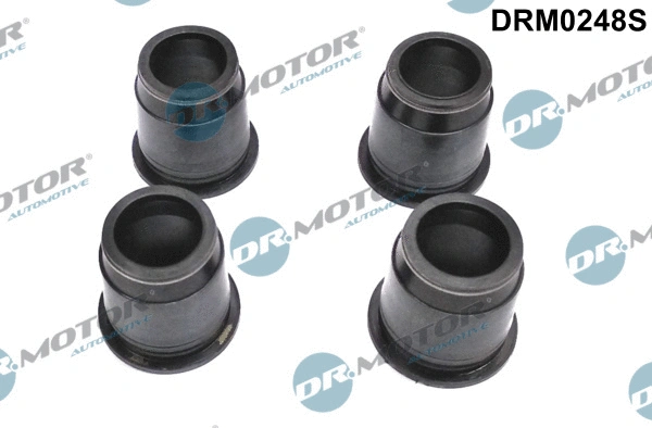 Seal, injector holder (DRM0248S)