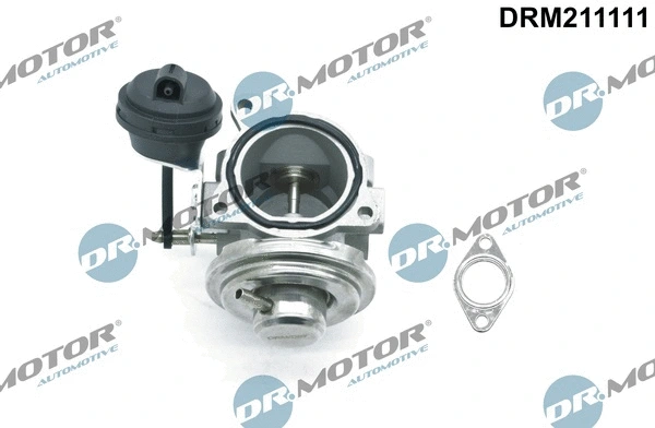 EGR Valve