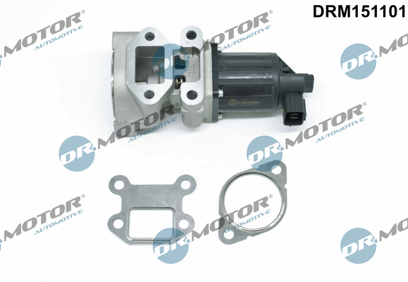 EGR Valve (DRM151101)