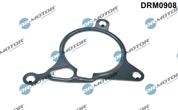 Gasket, vacuum pump (DRM0908)