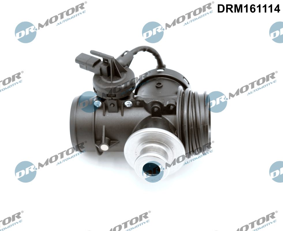 EGR Valve (DRM161114)