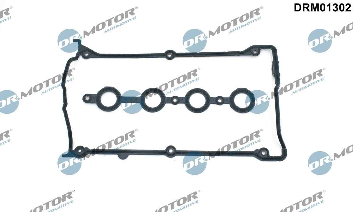 Gasket Set, cylinder head cover (DRM01302)
