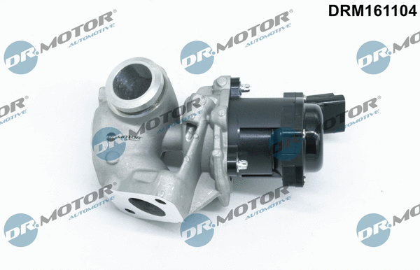 EGR Valve (DRM161104)