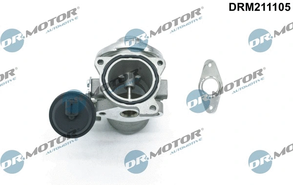 EGR Valve