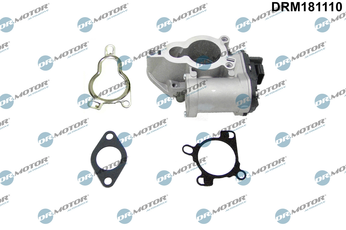 EGR Valve (DRM181110)