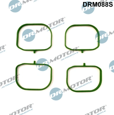 Gasket Set, intake manifold (DRM088S)