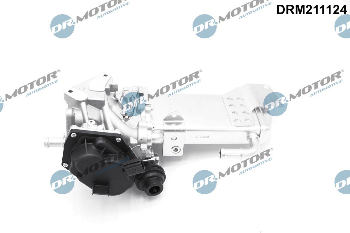 EGR Valve (DRM211124)