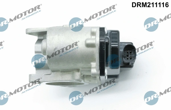 EGR Valve