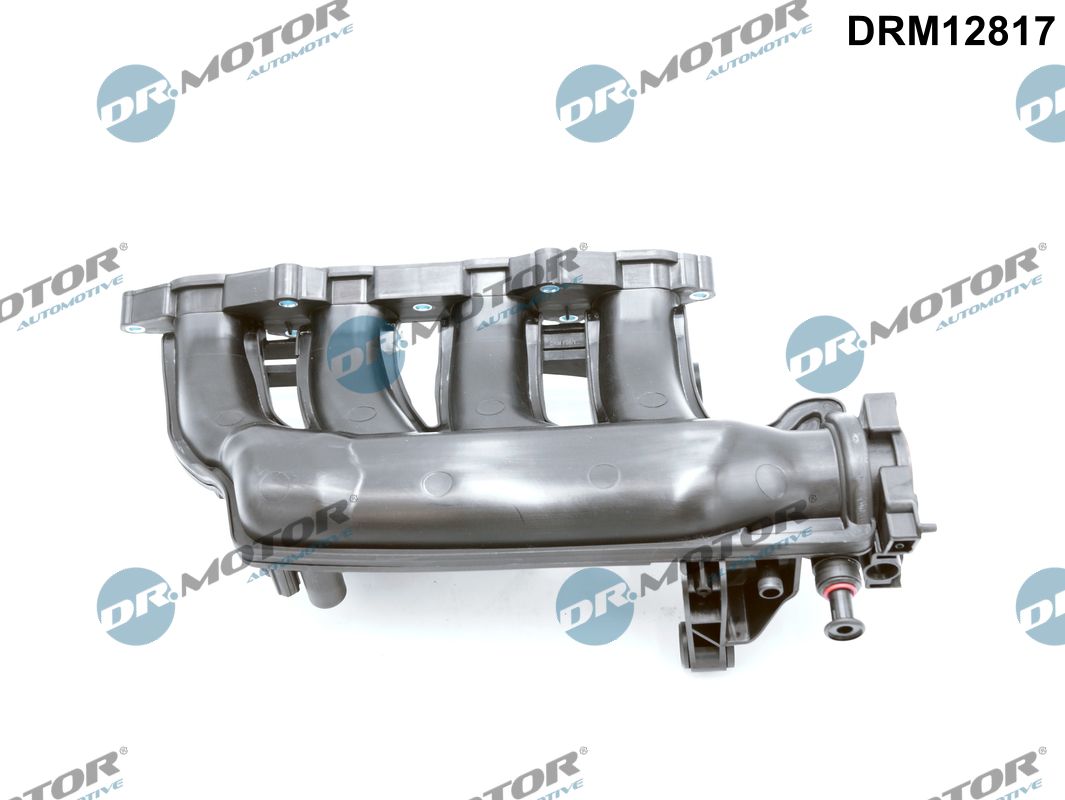 Intake Manifold Module (DRM12817)
