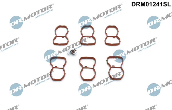 Repair Kit, intake manifold module (DRM01241SL)