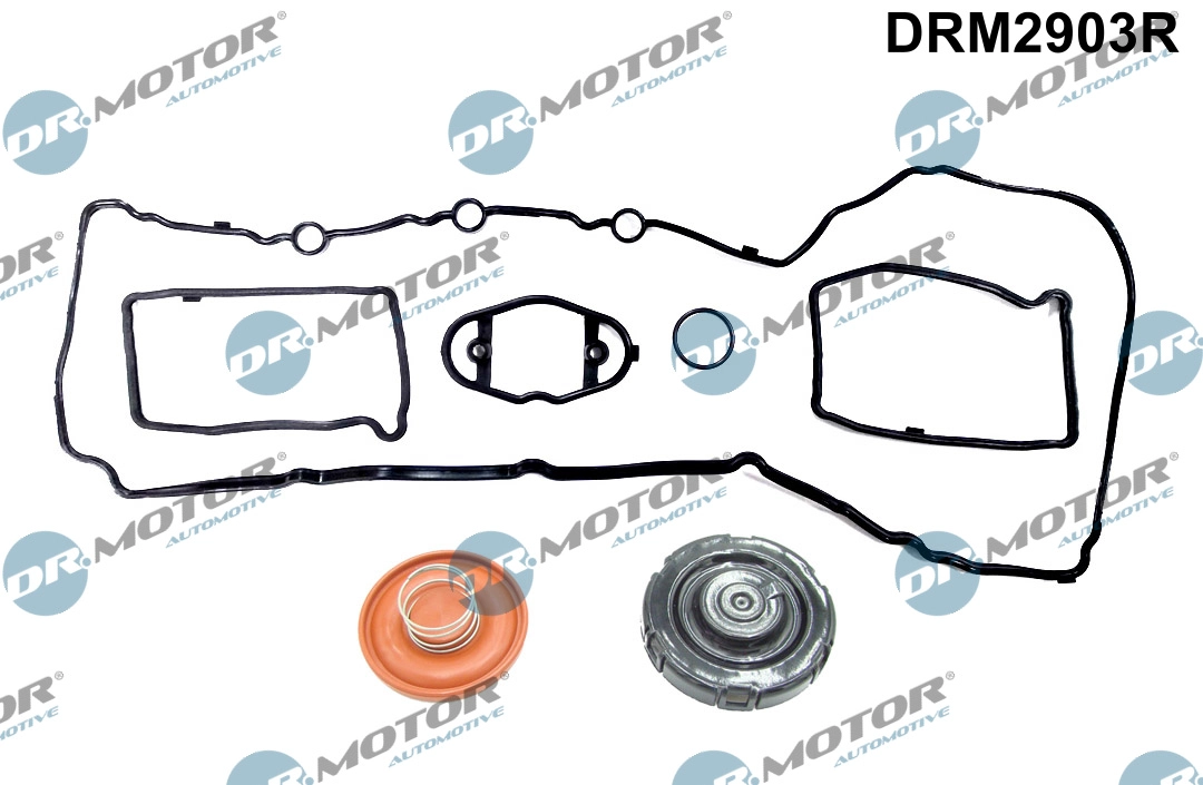 Gasket Set, cylinder head cover (DRM2903R)