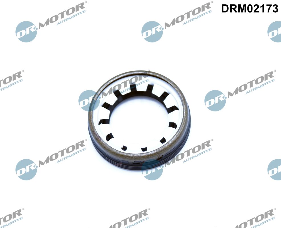 Shaft Seal, differential (DRM02173)