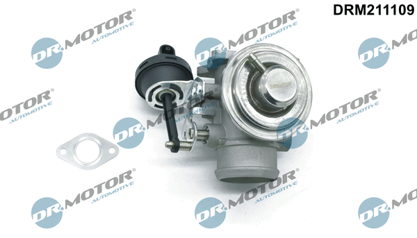 EGR Valve (DRM211109)