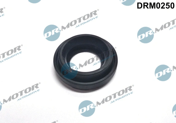 Seal, injector holder (DRM0250)