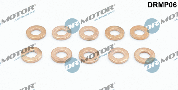 Seal Kit, injector nozzle (DRMP06)
