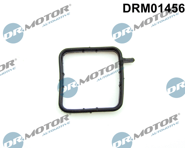Seal, coolant pipe (DRM01456)