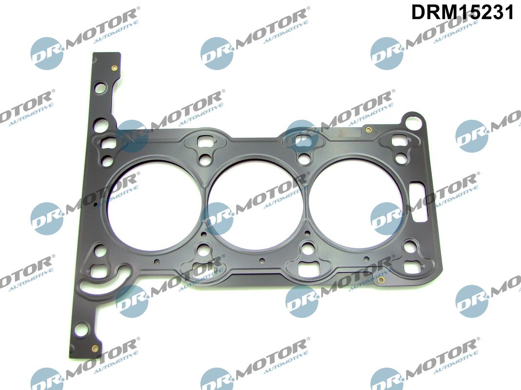 Gasket, cylinder head (DRM15231)