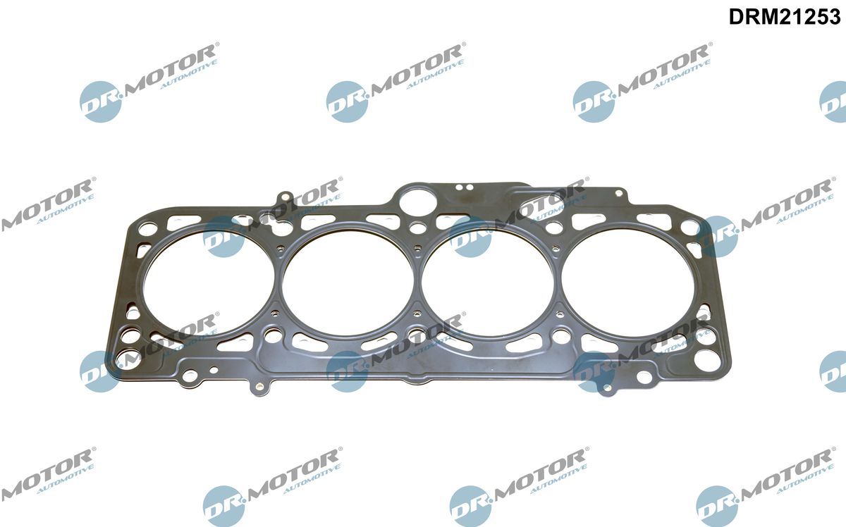 Gasket, cylinder head (DRM21253)