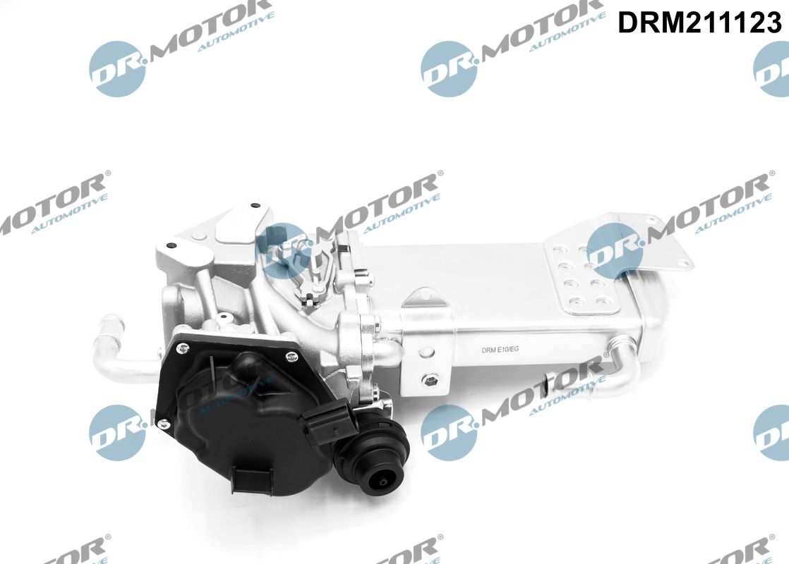 EGR Valve (DRM211123)