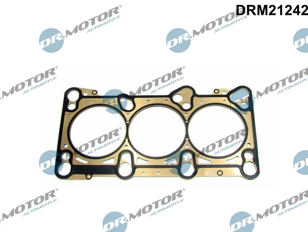 Gasket, cylinder head (DRM21242)
