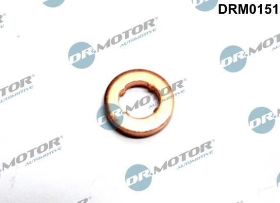 Seal Ring, injector (DRM0151)