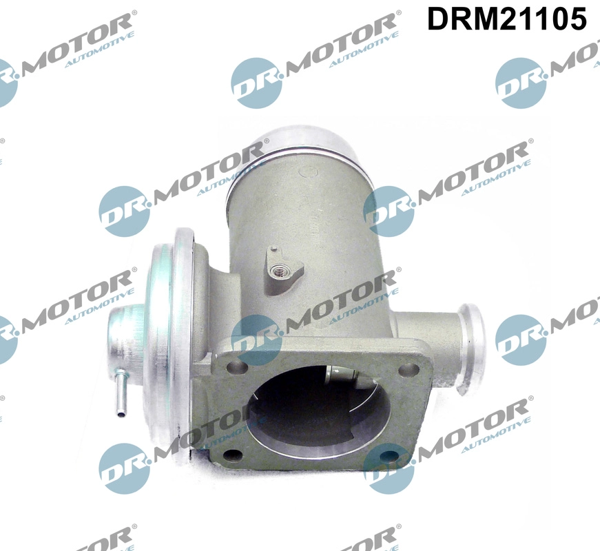 EGR Valve (DRM21105)