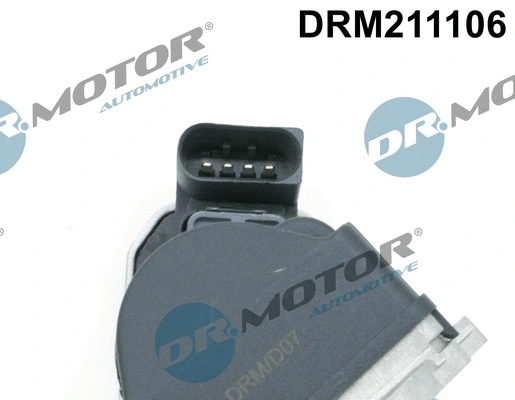 EGR Valve