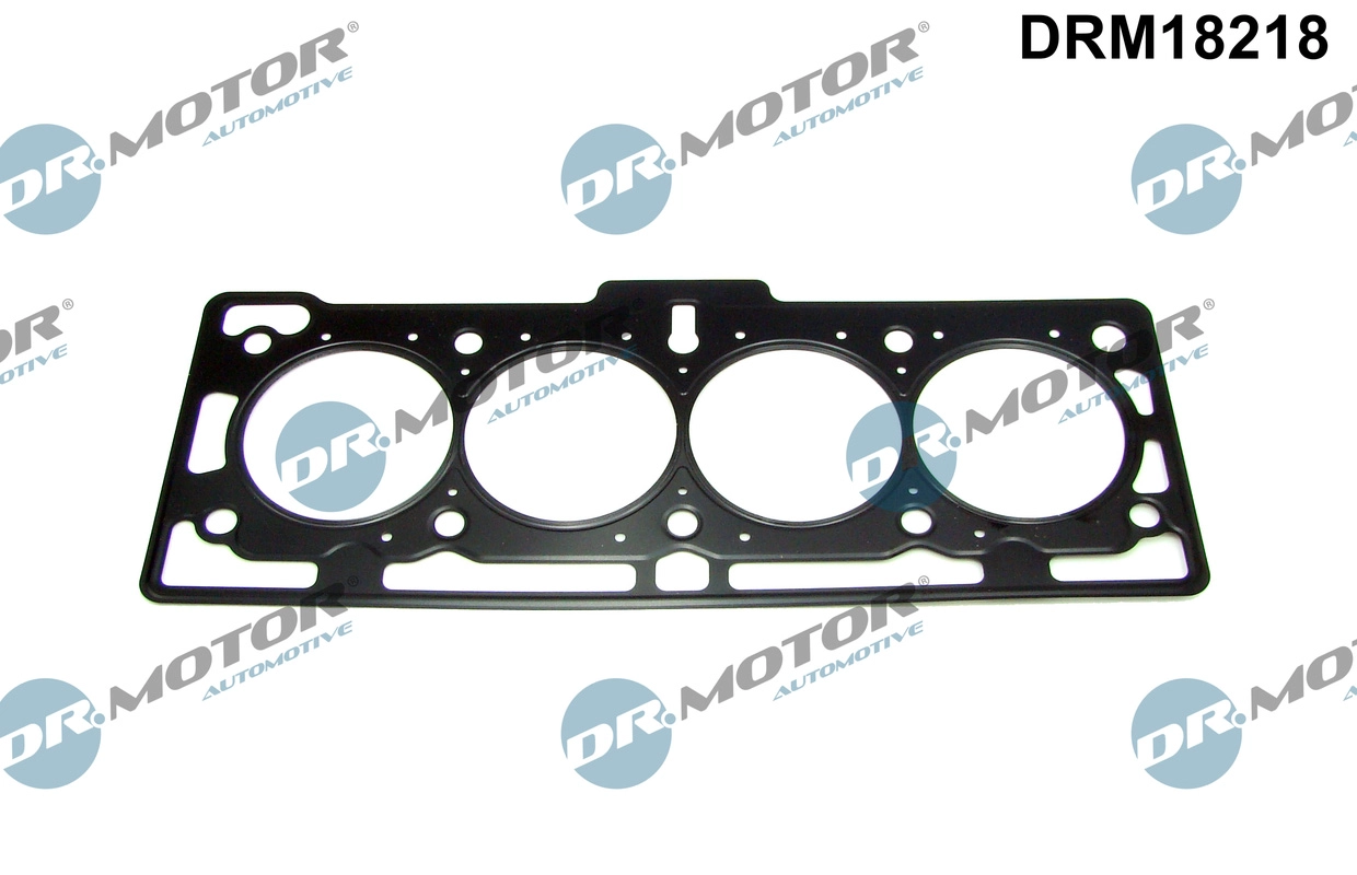Gasket, cylinder head (DRM18218)
