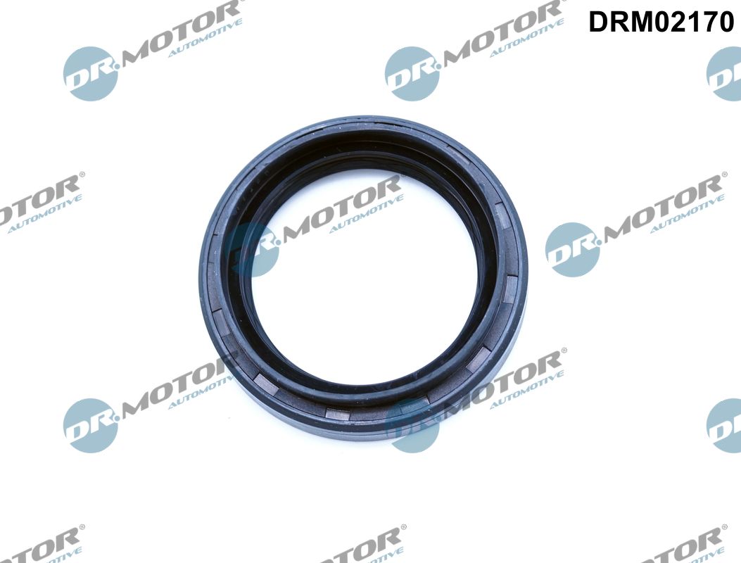 Shaft Seal, differential (DRM02170)