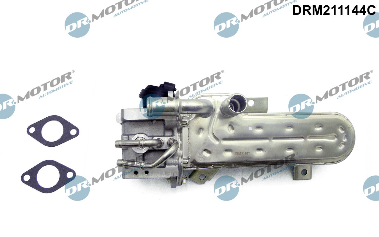 Cooler, exhaust gas recirculation (DRM211144C)