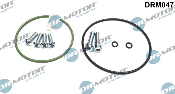 Repair Set, vacuum pump (braking system) (DRM047)