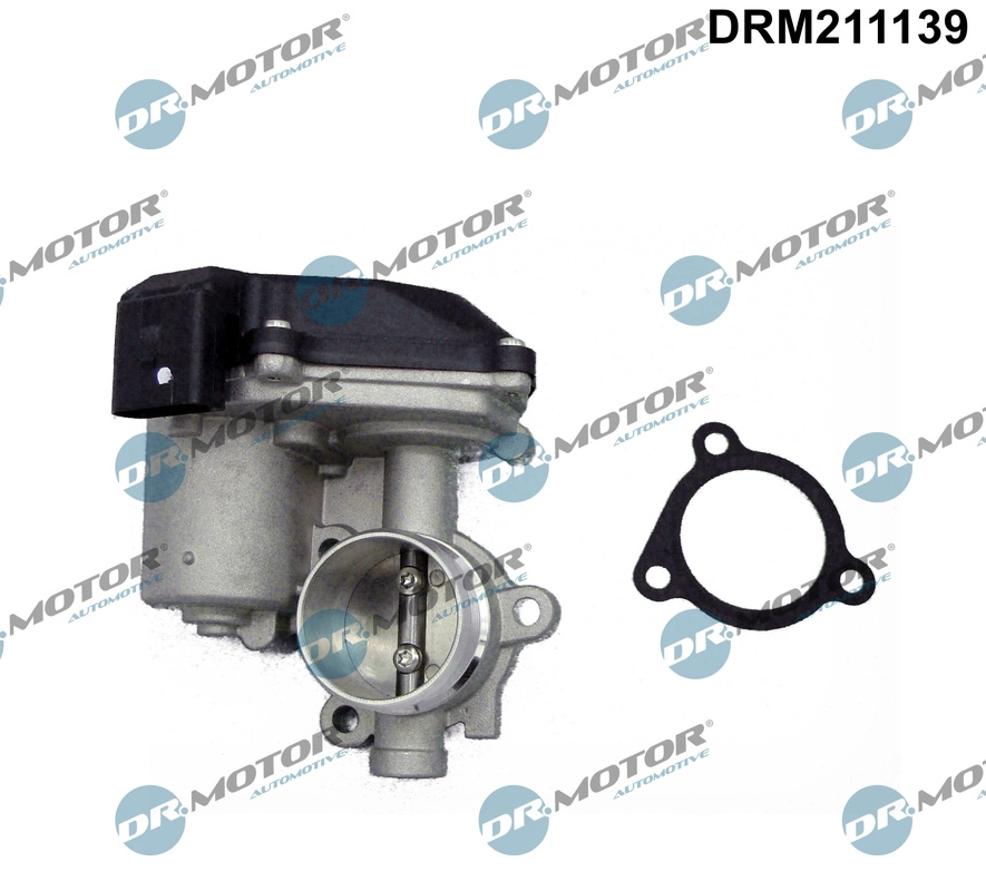 EGR Valve (DRM211139)