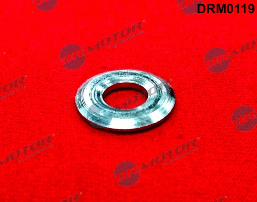 Seal Ring, injector (DRM0119)