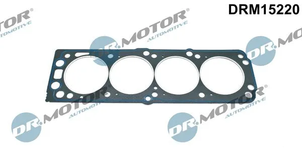 Gasket, cylinder head (DRM15220)