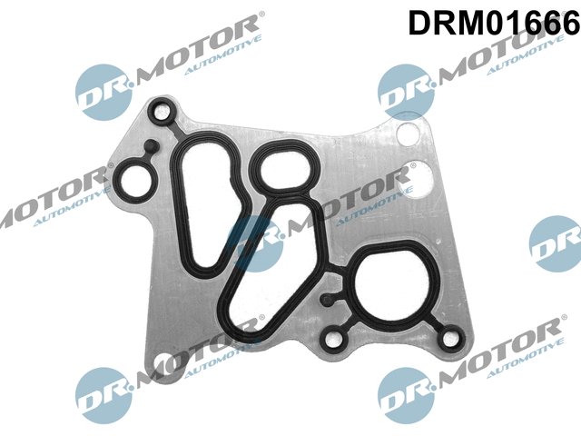Gasket, oil cooler (DRM01666)