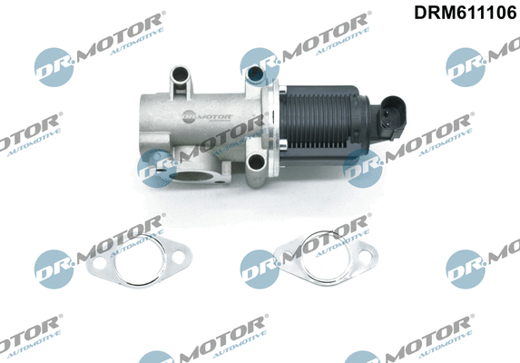 EGR Valve (DRM611106)