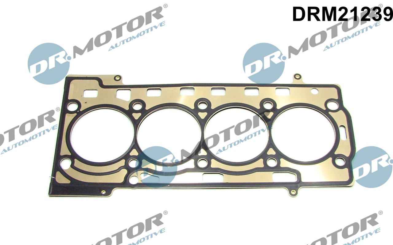 Gasket, cylinder head (DRM21239)