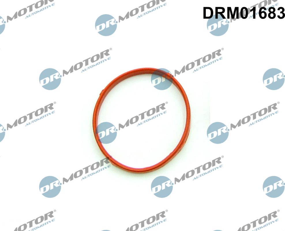 Gasket, throttle body (DRM01683)