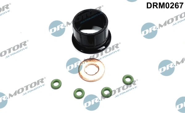 Seal Kit, injector nozzle (DRM0267)