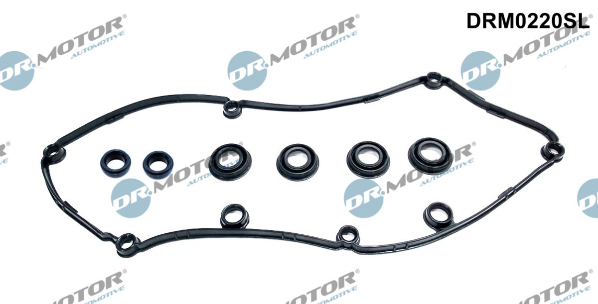 Gasket Set, cylinder head cover (DRM0220SL)