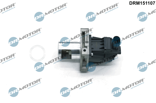 EGR Valve (DRM151107)